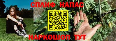дурь Гай