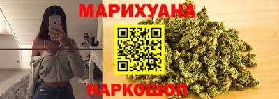 крисы Гагарин