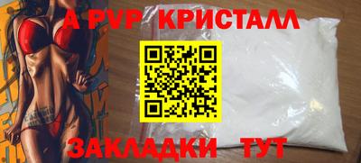 крисы Гагарин