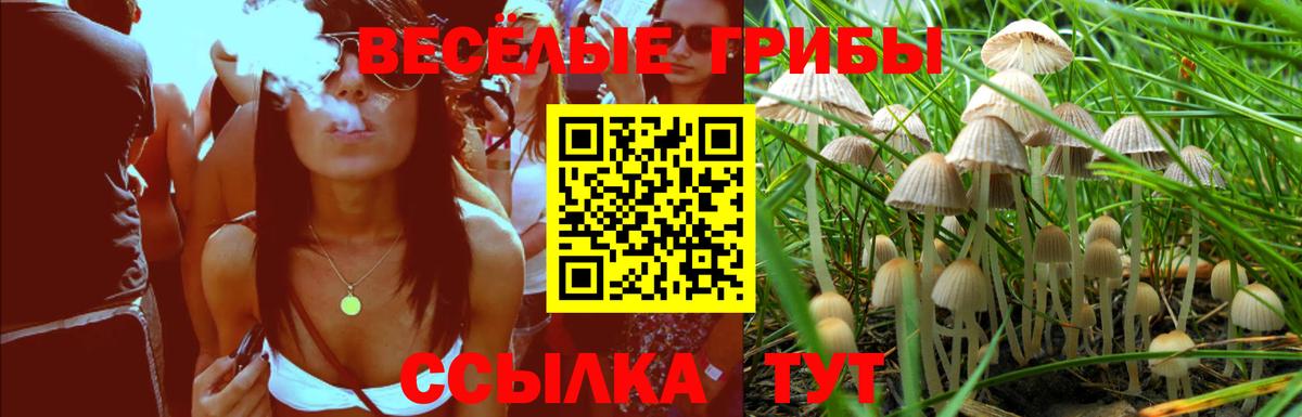 Мценск  Псилоцибиновые грибы MAGIC MUSHROOMS  Вход с VPN  Галлюциногенные грибы Magic Shrooms 